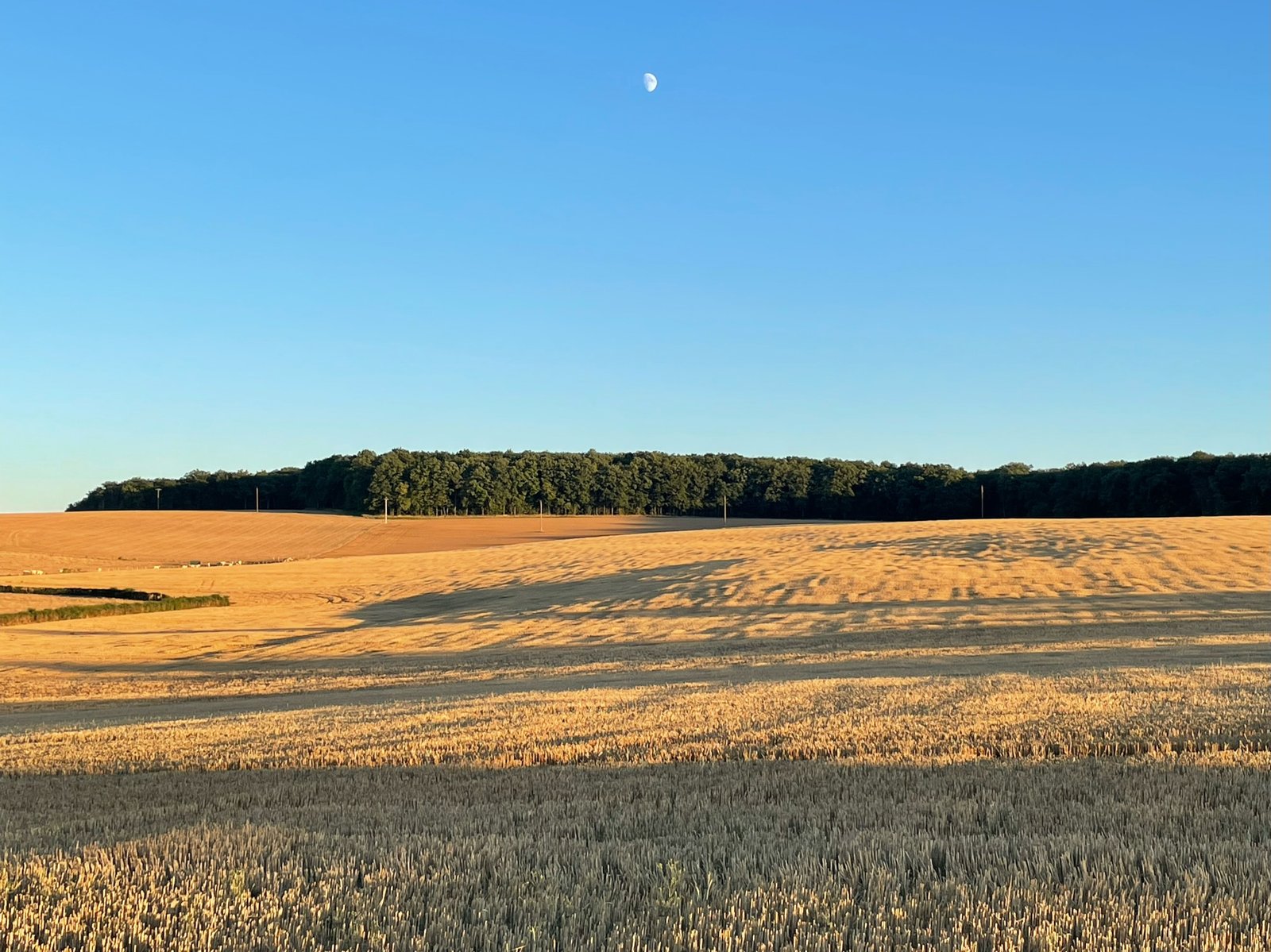 Newsletter n°17 – août 2022