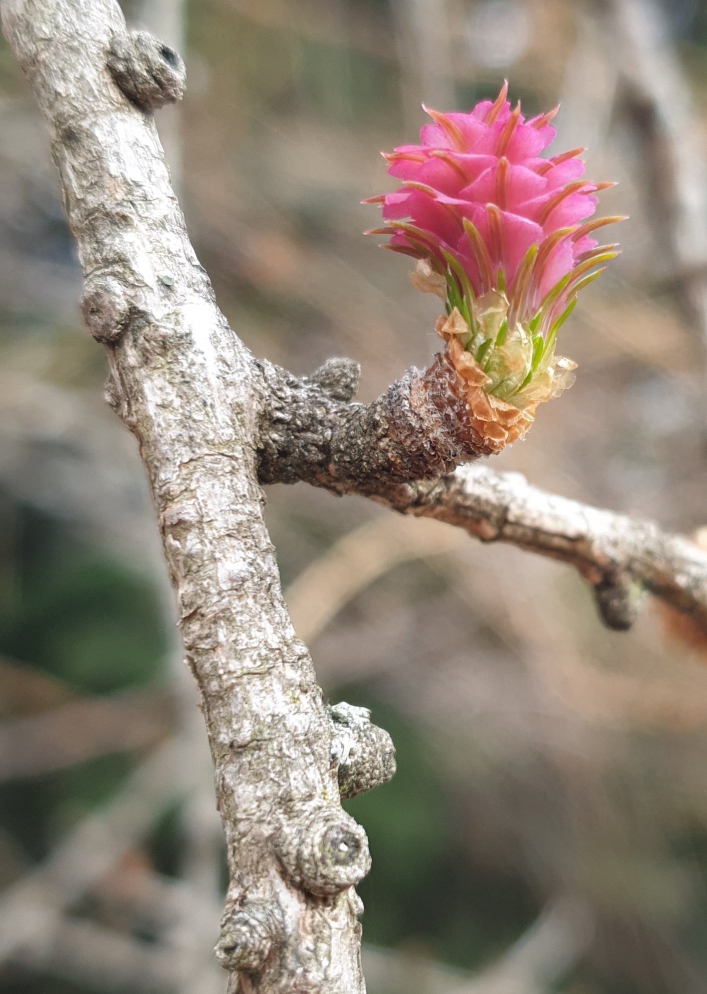 Newsletter n°25 – avril 2023