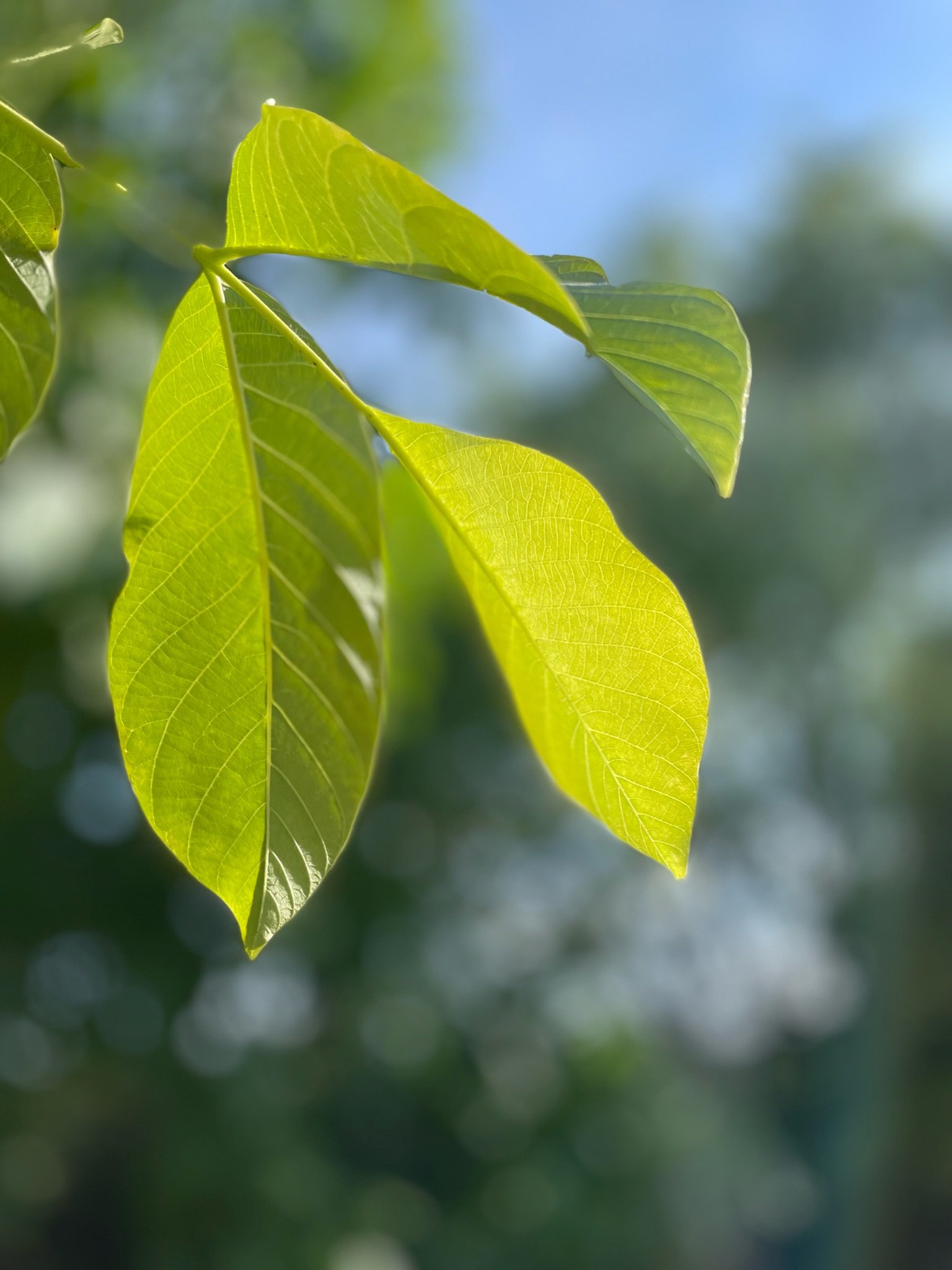 Newsletter n°30 – septembre 2023