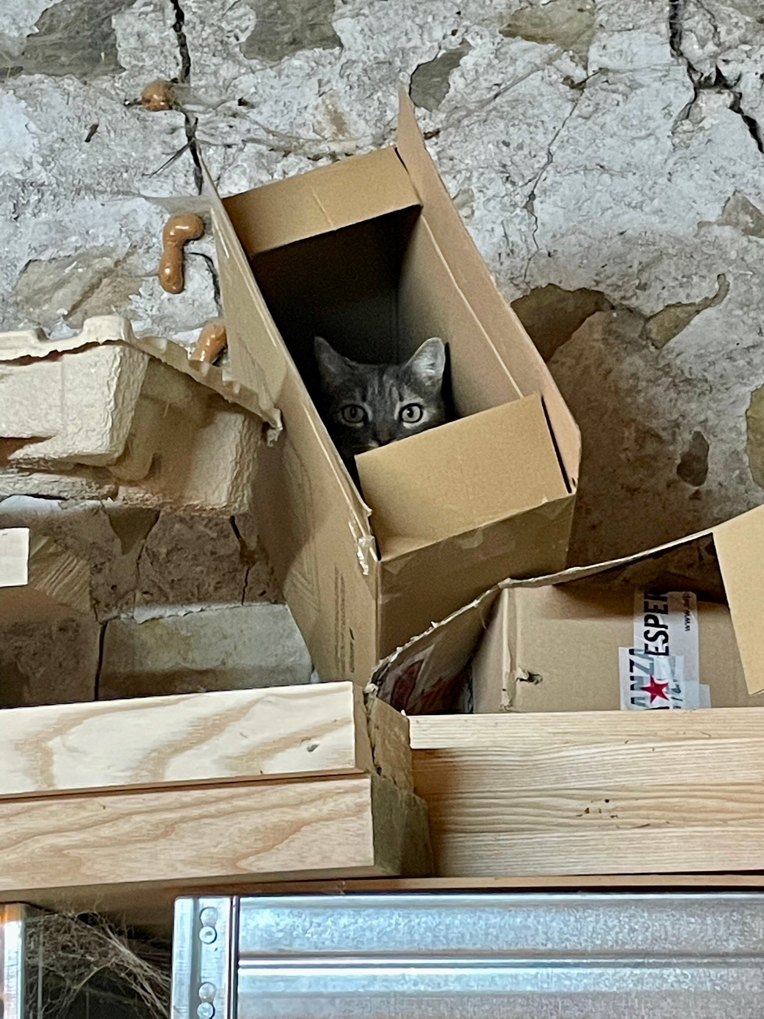 Newsletter n°35 – février 2024